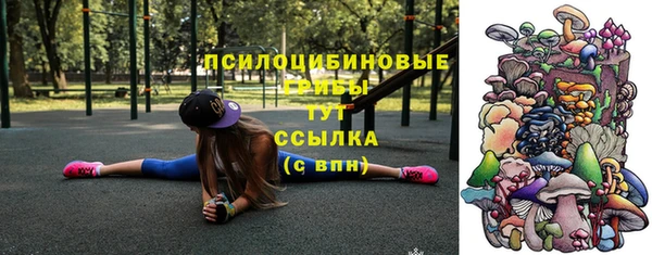 мет Армянск