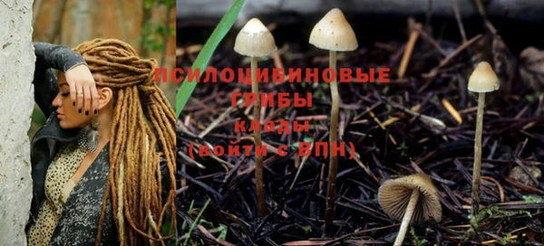 дмт Аркадак