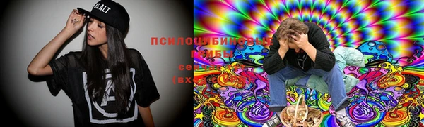 дмт Аркадак