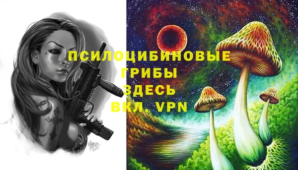 мет Армянск