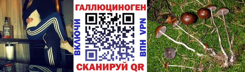 Галлюциногенные грибы Magic Shrooms  купить наркотики цена  Полысаево 