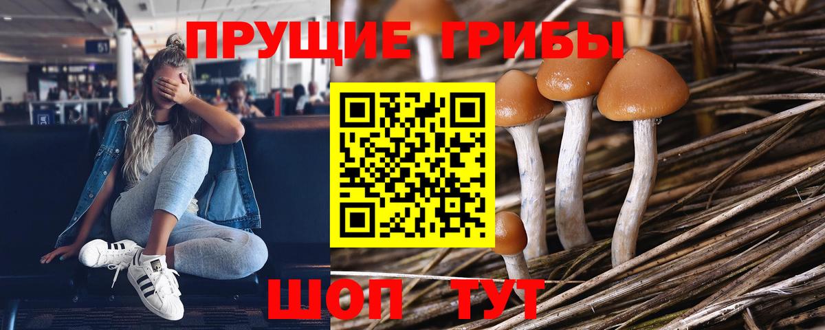 Полысаево  Псилоцибиновые грибы MAGIC MUSHROOMS  Вход с VPN 
