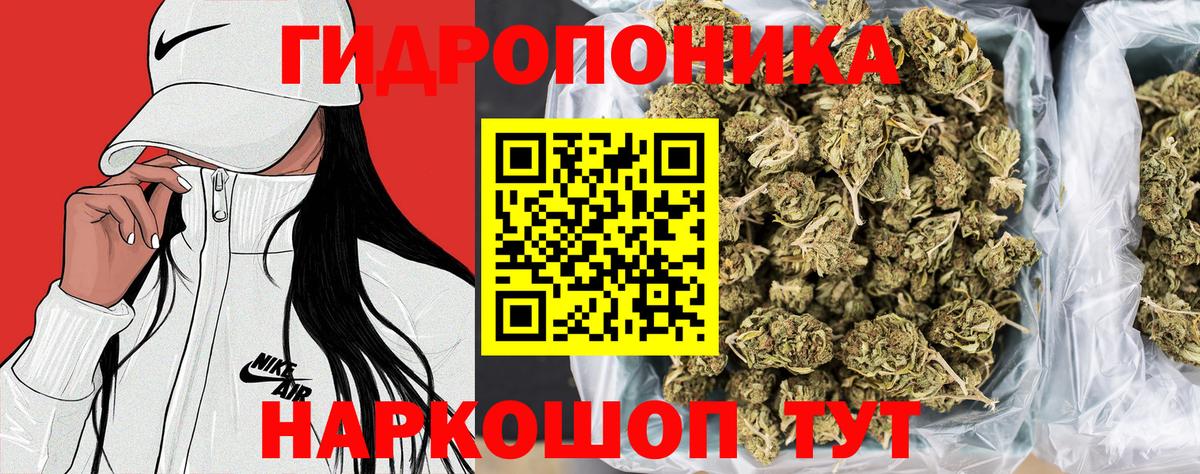 Шишки марихуана семена  Конопля марихуана  Полысаево  Вход с VPN  Бошки Шишки Amnesia  Марихуана LSD WEED 